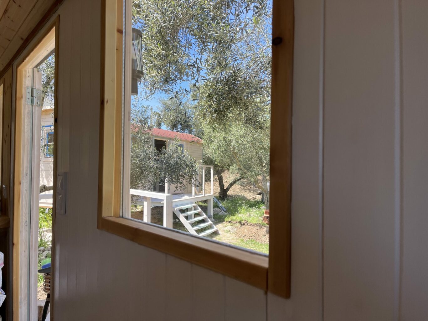 Ausblick aus dem TinyHouse