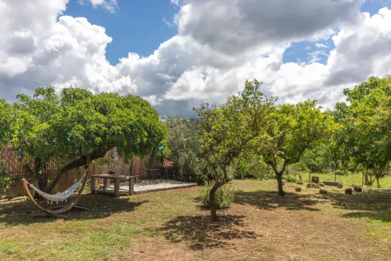 Hammock between fruit trees in the garden