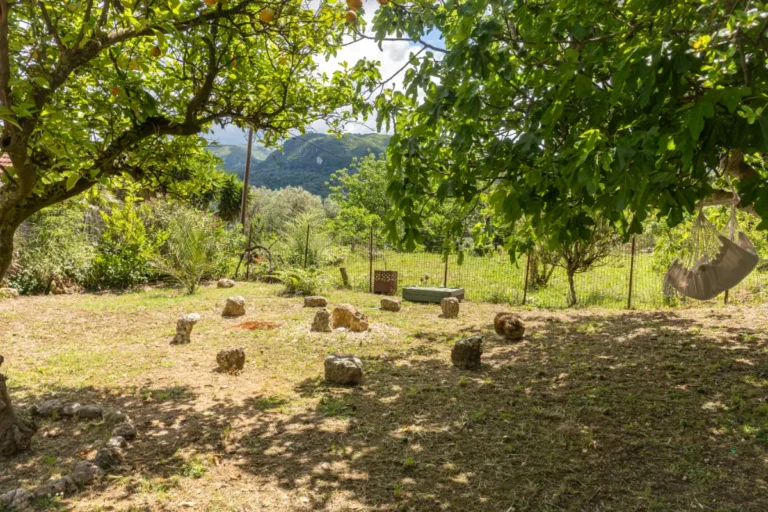 Tree-stump seats in the shade of fruit trees